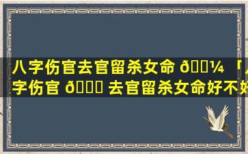 八字伤官去官留杀女命 🐼 「八字伤官 🐒 去官留杀女命好不好」